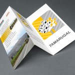 Tri Fold Brochure MockUp